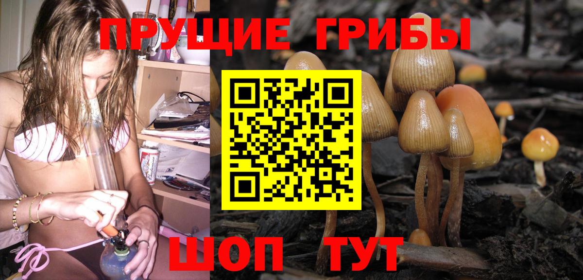 как найти наркотики  Псилоцибиновые грибы прущие грибы  Вход с VPN  Павлово 